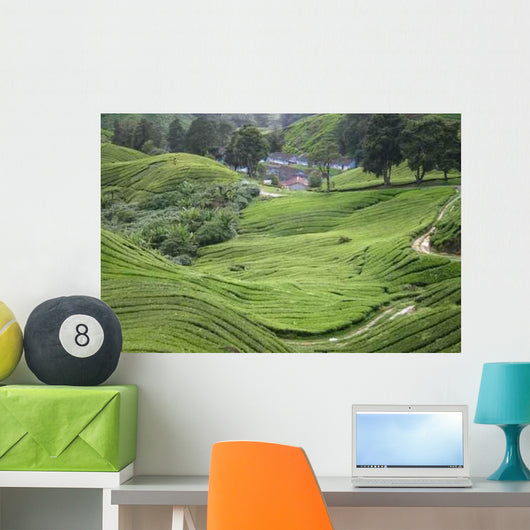 Anbau Von Tee Malaysia Wall Decal