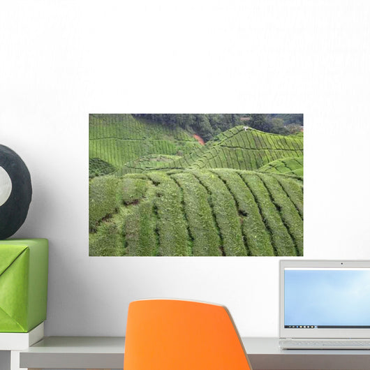 Tee-plantage Malaysia Wall Decal