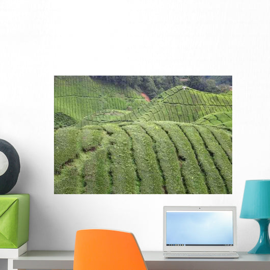 Tee-plantage Malaysia Wall Decal