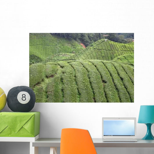 Tee-plantage Malaysia Wall Decal