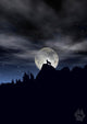 Wolf howling in moonlight silhoutte Wall Mural