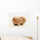 Two Dirty Baseballs Wall Mural