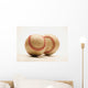 Two Dirty Baseballs Wall Mural