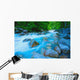 Water Rushing Through Rocks Wall Mural