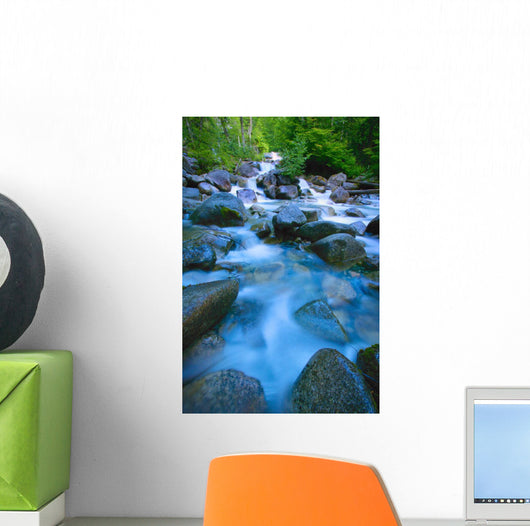 Fast-Flowing River Wall Mural