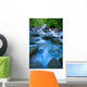 Fast-Flowing River Wall Mural