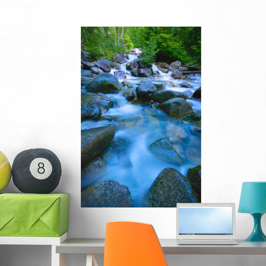 Fast-Flowing River Wall Mural