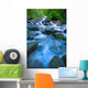 Fast-Flowing River Wall Mural