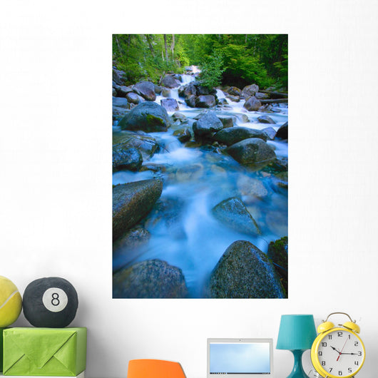 Fast-Flowing River Wall Mural