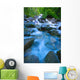 Fast-Flowing River Wall Mural