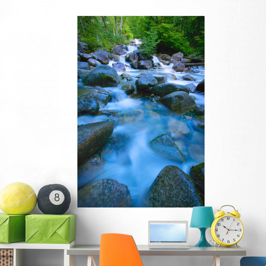 Fast-Flowing River Wall Mural