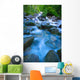Fast-Flowing River Wall Mural