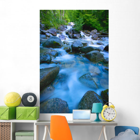 Fast-Flowing River Wall Mural