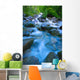 Fast-Flowing River Wall Mural