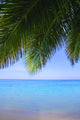 Tropical View Wall Mural