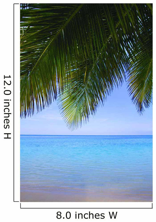 Tropical View Wall Mural