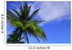 Palm Tree Against Perfect Sky Wall Mural