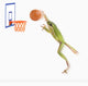 Frog Playing Basketball Wall Mural