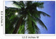 Palm Tree Wall Mural