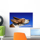 Dog With Ears In The Wind Wall Mural