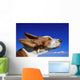 Dog With Ears In The Wind Wall Mural