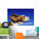 Dog With Ears In The Wind Wall Mural