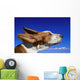 Dog With Ears In The Wind Wall Mural