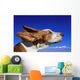 Dog With Ears In The Wind Wall Mural