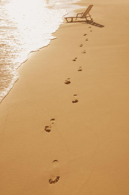 A Walk On The Beach Wall Mural