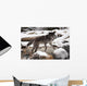 Wolf Wall Mural