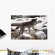 Wolf Wall Mural