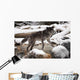 Wolf Wall Mural