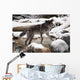 Wolf Wall Mural