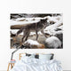 Wolf Wall Mural