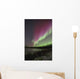 Northern Lights, Edmonton, Alberta, Canada Wall Mural