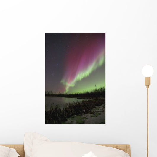 Northern Lights, Edmonton, Alberta, Canada Wall Mural