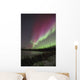 Northern Lights, Edmonton, Alberta, Canada Wall Mural