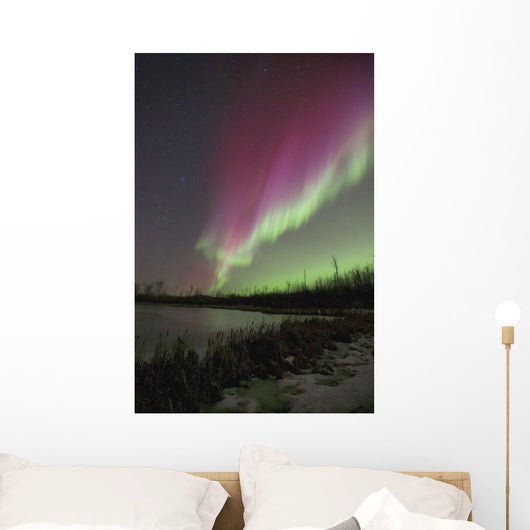 Northern Lights, Edmonton, Alberta, Canada Wall Mural