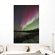 Northern Lights, Edmonton, Alberta, Canada Wall Mural