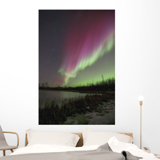 Northern Lights, Edmonton, Alberta, Canada Wall Mural