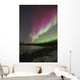 Northern Lights, Edmonton, Alberta, Canada Wall Mural