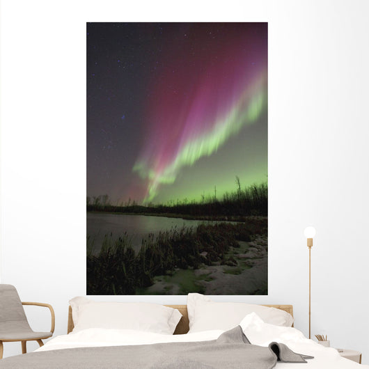 Northern Lights, Edmonton, Alberta, Canada Wall Mural