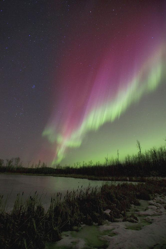 Northern Lights, Edmonton, Alberta, Canada Wall Mural
