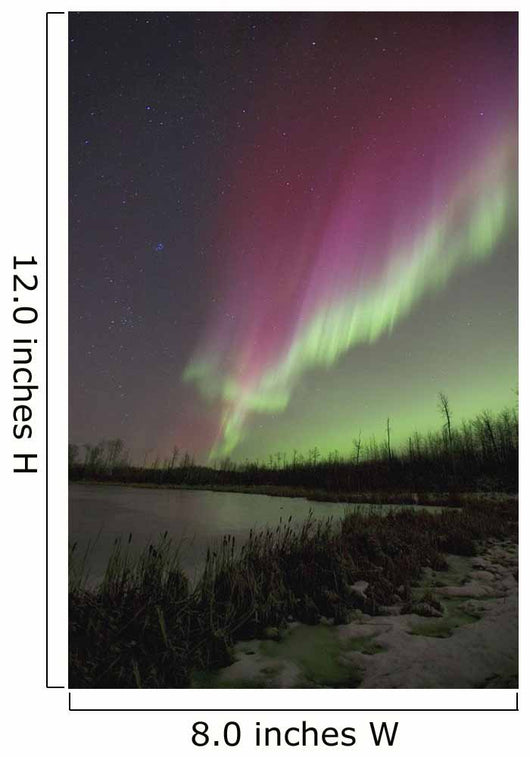 Northern Lights, Edmonton, Alberta, Canada Wall Mural