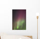 Northern Lights, Edmonton, Alberta, Canada Wall Mural