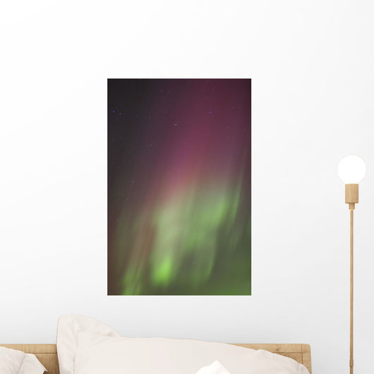 Northern Lights, Edmonton, Alberta, Canada Wall Mural