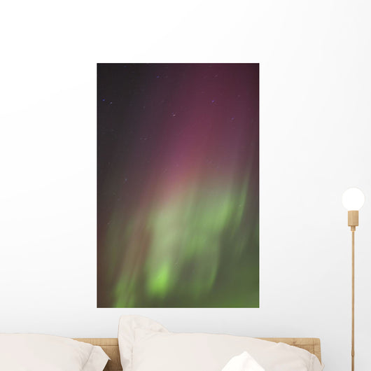 Northern Lights, Edmonton, Alberta, Canada Wall Mural