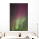 Northern Lights, Edmonton, Alberta, Canada Wall Mural