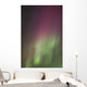 Northern Lights, Edmonton, Alberta, Canada Wall Mural