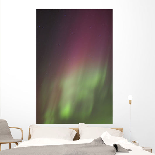 Northern Lights, Edmonton, Alberta, Canada Wall Mural